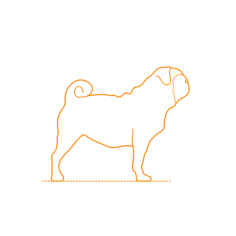 Animals Dogs Pug Vinyl Svg File, Free Vectors File